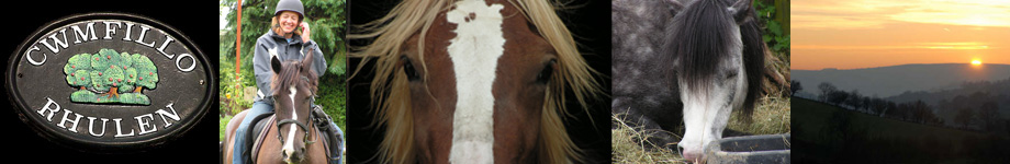 Equine Holidays in the Brecon Beacons near Builth Wells in Wales