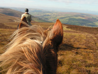 Equine Holidays in the Brecon beacons near Builth Wells in Wales