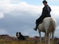 Equine Holidays in the Brecon beacons near Builth Wells in Wales