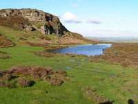 View of the Lake